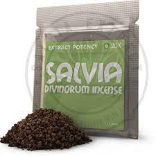 salvia divinorum for sale, buy salvia online, buy salvia divinorum, buy salvia online now, buy salvia divinorum near me, salvia divinorum for sale, salvia divinorum plants for sale, salvia divinorum plant for sale near me, best salvia divinorum plants, salvia divinorum plant, salvia divinorum plant for sale, salvia divinorum plant seeds, salvia divinorum plants, salvia divinorum plant buy, salvia divinorum plant live, salvia divinorum, salvia divinorum plants