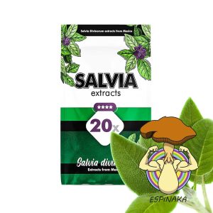 salvia divinorum for sale, buy salvia online, buy salvia divinorum, buy salvia online now, buy salvia divinorum near me, salvia divinorum for sale, salvia divinorum plants for sale, salvia divinorum plant for sale near me, best salvia divinorum plants