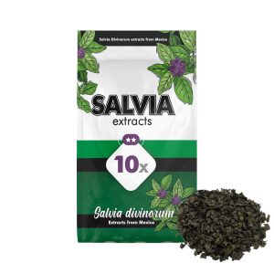 salvia divinorum for sale, buy salvia online, buy salvia divinorum, buy salvia online now, buy salvia divinorum near me, salvia divinorum for sale, salvia divinorum plants for sale, salvia divinorum plant for sale near me, best salvia divinorum plants