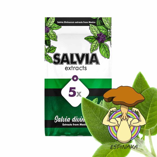 salvia divinorum for sale, buy salvia online, buy salvia divinorum, buy salvia online now, buy salvia divinorum near me, salvia divinorum for sale, salvia divinorum plants for sale, salvia divinorum plant for sale near me, best salvia divinorum plants